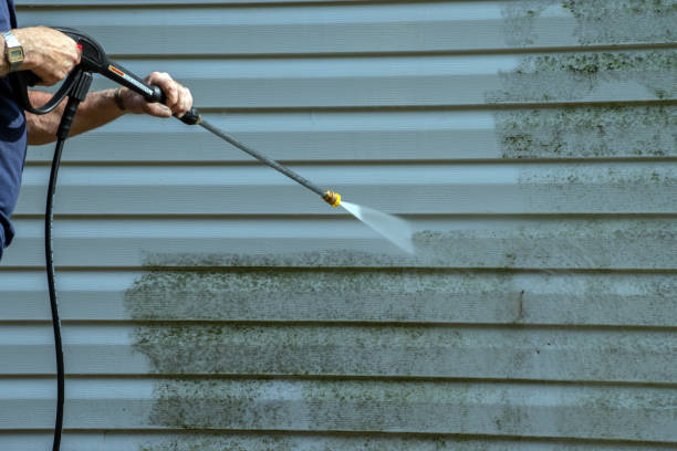 Reliable Mount Ayr, IA Pressure Washing Solutions